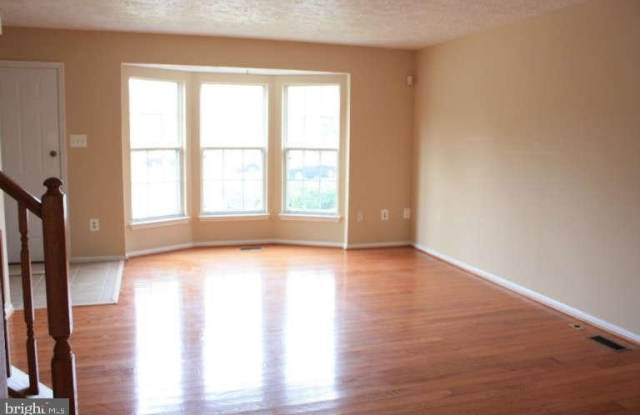 8567 BLACK STAR Circle Gallery 2