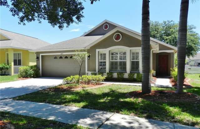 10839 NEWBRIDGE DRIVE - 10839 Newbridge Drive, Riverview, FL 33579