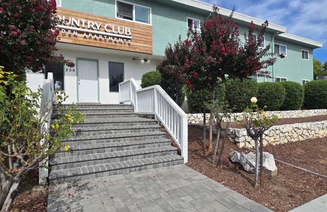 Spacious Downstairs Apartment, Fresh Paint, Quartz Counters, Stainless Steel Appliances, Pool, Parking! Gallery 1