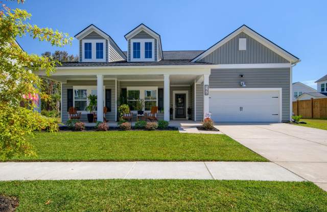 166 Paddle Boat Way - 166 Paddle Boat Way, Dorchester County, SC 29472