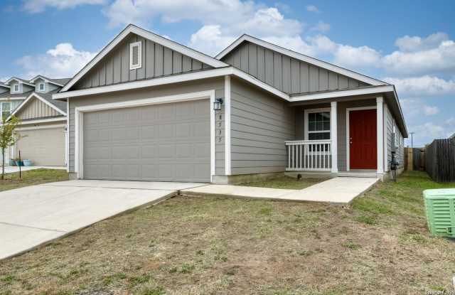 8535 Western Tanager photos photos