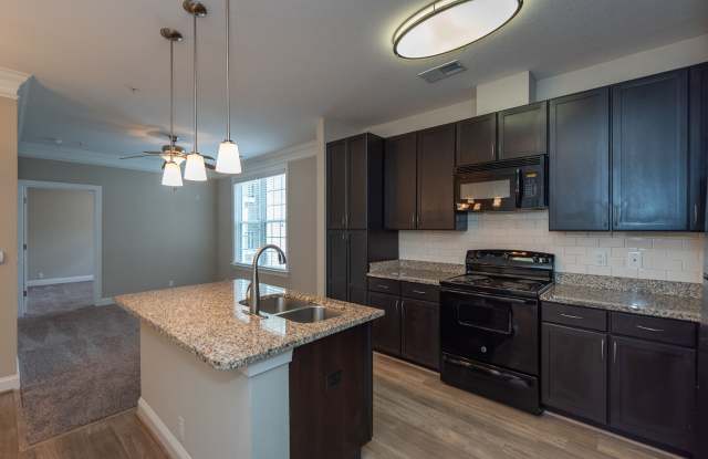 Red Knot at Edinburgh photos photos