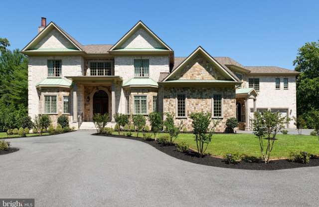 1005 WHITE CHIMNEY COURT Gallery 2