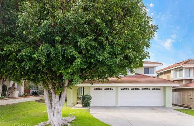 307 st Anise photos photos