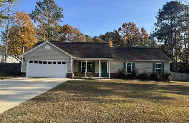 308 Farina Drive - 308 Farina Drive, Havelock, NC 28532