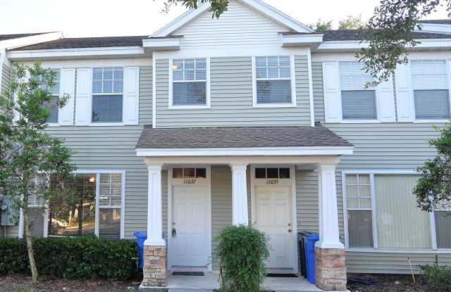 11037 Black Swan Ct - 11037 Black Swan Court, Mango, FL 33584