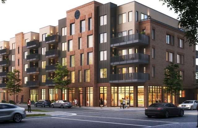 Black Olive photos photos