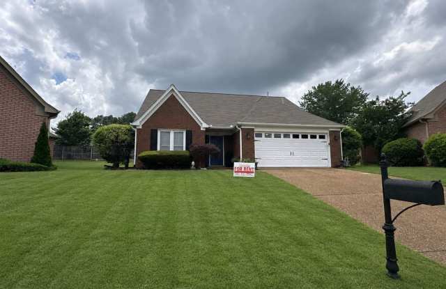 Beautiful 3 Bedroom 2 full bathroom home in Collierville photos photos