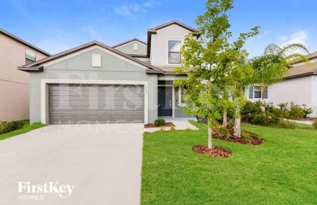 10006 RoseMary Leaf Lane - 10006 RoseMary Leaf Lane, Riverview, FL 33578