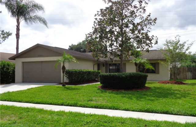 16026 EAGLE RIVER WAY - 16026 Eagle River Way, Northdale, FL 33624