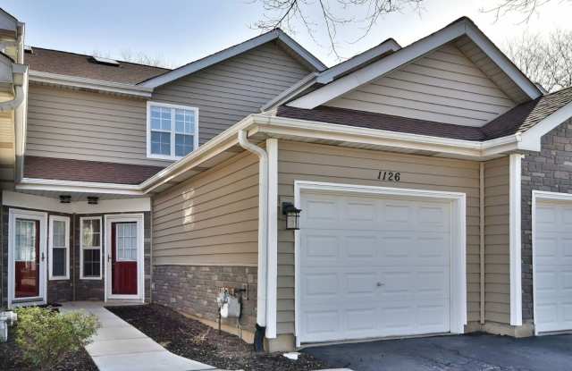 1126 Regency Drive - 1126 Regency Drive, Schaumburg, IL 60193