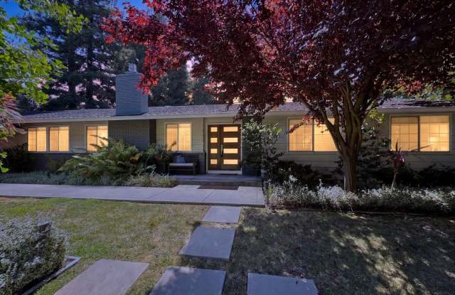 Gorgeous 4 Bedroom PLUS Spacious Bonus Room with Pool in Desired Alamo Neighborhood Available Now! Gallery 3