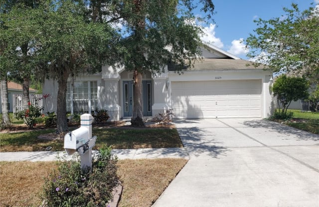 31125 HANNIGAN PLACE - 31125 Hannigan Place, Wesley Chapel, FL 33543