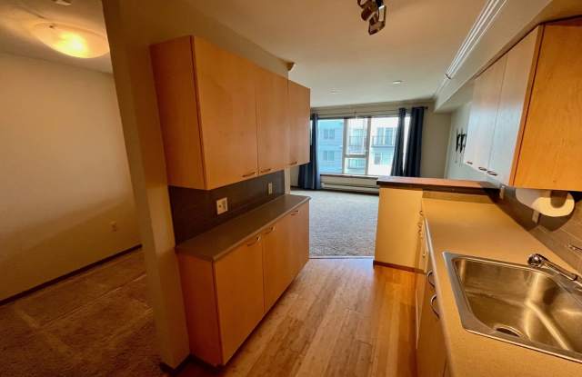 Luminaire Condominiums ~ Lake City Gallery 3