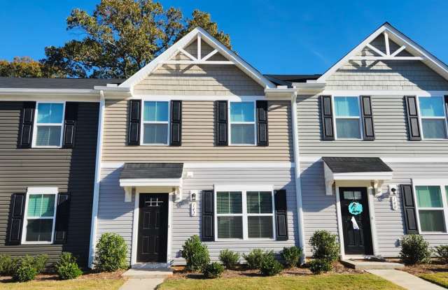 Downtown Greenville - Hampton Townes - Newer Built 3BR/2.5 BA Townhome Convenient to Downtown Greenville and Minutes from the Swamp Rabbit Trail! - 142 Fernside Court, Parker, SC 29617