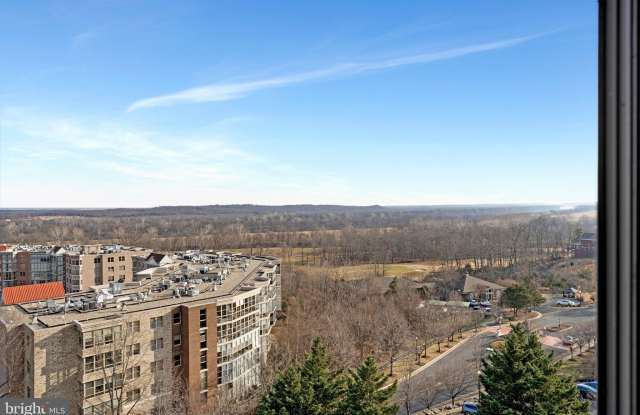 19385 CYPRESS RIDGE Terrace unit: 815 photos photos