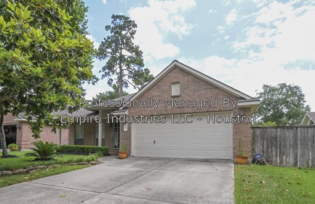 10 Glen Erin Dr - 10 Glen Erin Drive, The Woodlands, TX 77382