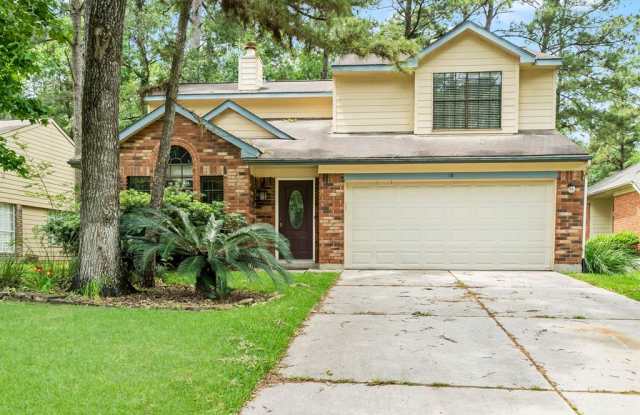 16 Thrush Grove Place - 16 Thrush Grove Place, The Woodlands, TX 77381