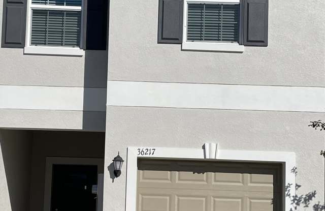 36217 Risa Michele St - 36217 Risa Michele Street, Pasco County, FL 33541 36217 Risa Michele St - 36217 Risa Michele Street, Pasco County, FL 33541