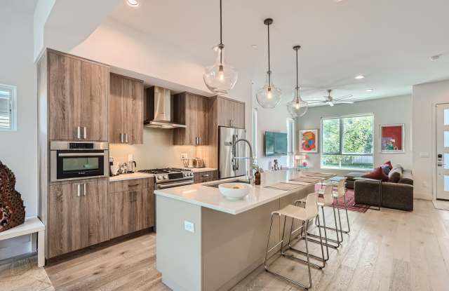 Modern 3 BDR S'Park Boulder Townhome Gallery 3