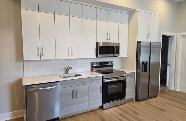 Completely Remodeled Luxury Apartment in the Heart of the City Gallery 1