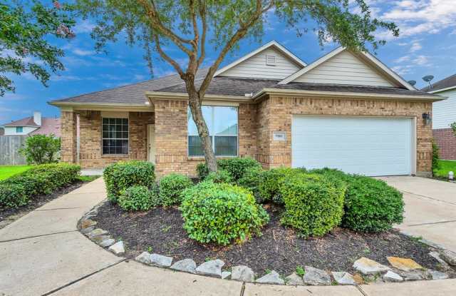 17807 Placid Oak Court - 17807 Placid Oak Court, Harris County, TX 77433
