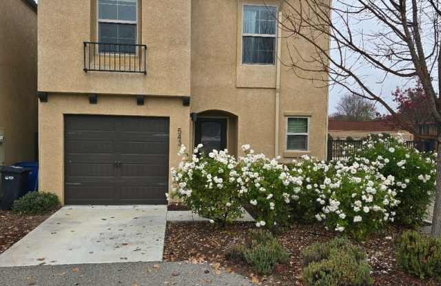 3 bed 2 bath north end of town - 543 Playa Circle, El Paso de Robles, CA 93446