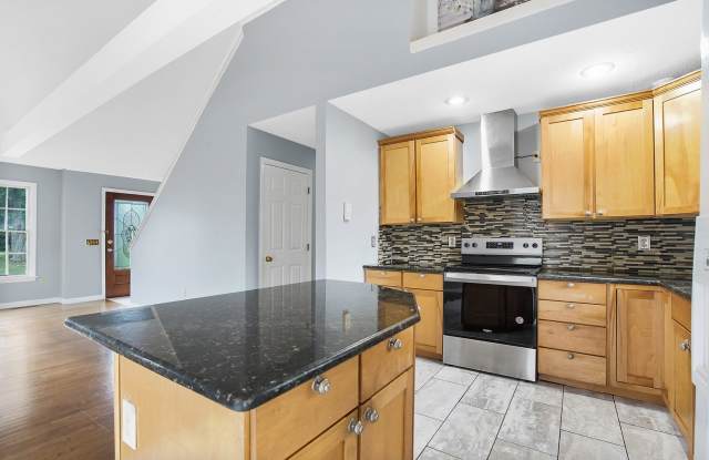 15 Paradise Street - 15 Paradise Street, Chicopee, MA 01020