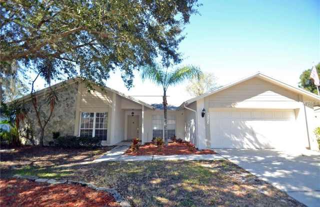 12325 YELLOW ROSE CIRCLE - 12325 Yellow Rose Circle, Riverview, FL 33569