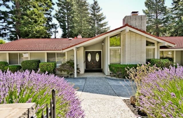232 Morris Ranch Road - 232 Morris Ranch Road, Danville, CA 94526
