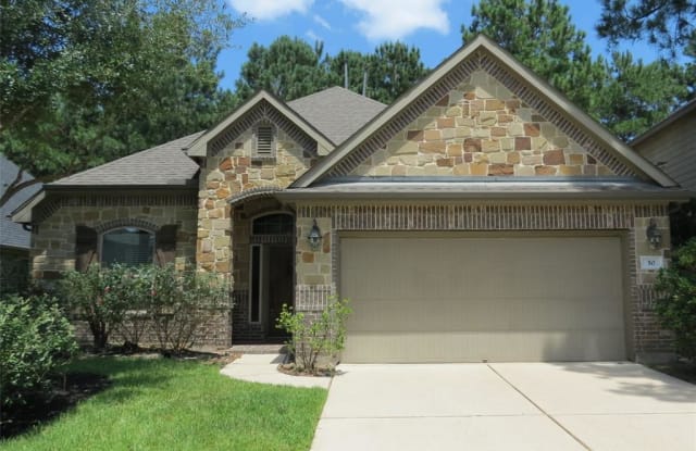 50 N Whistling Swan Place - 50 North Whistling Swan Place, The Woodlands, TX 77389