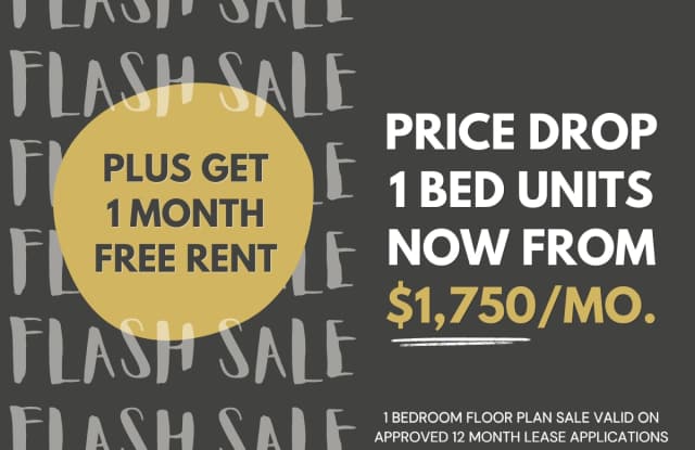 The Elle photos photos