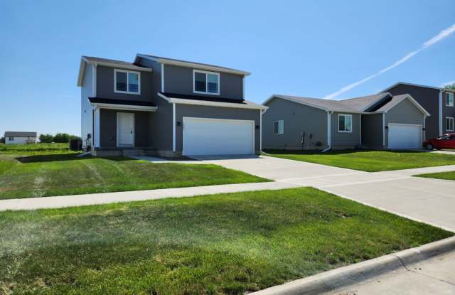 MUST SEE!!! Beautiful two story with 4 Bed, 2.5 Bath Home in De Soto. - 1007 Warren Street, Dallas County, IA 50261