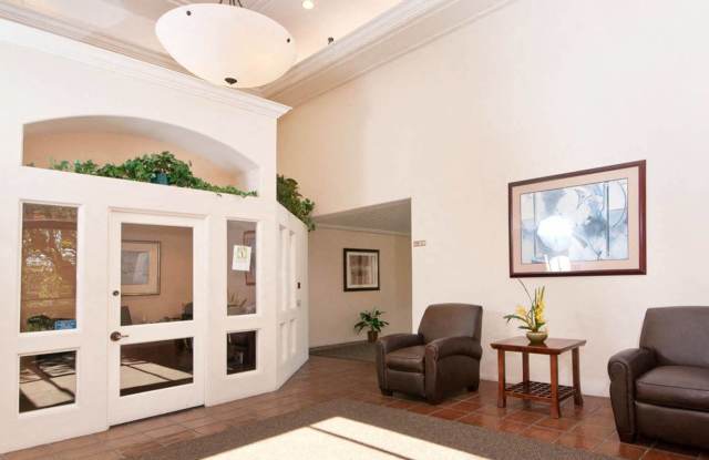 Rose Gallery 4