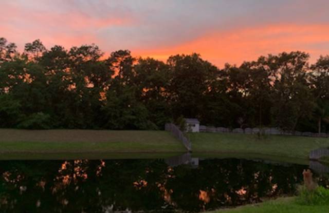 1186 Waterfall Drive photos photos