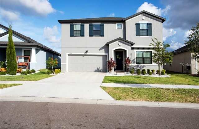 12029 CREEK PRESERVE DRIVE - 12029 Creek Preserve Drive, Riverview, FL 33579