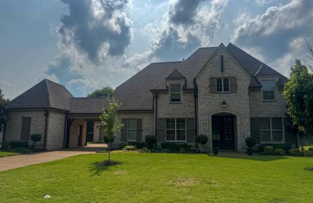 4435 CHESTNUT HILL Dr photos photos