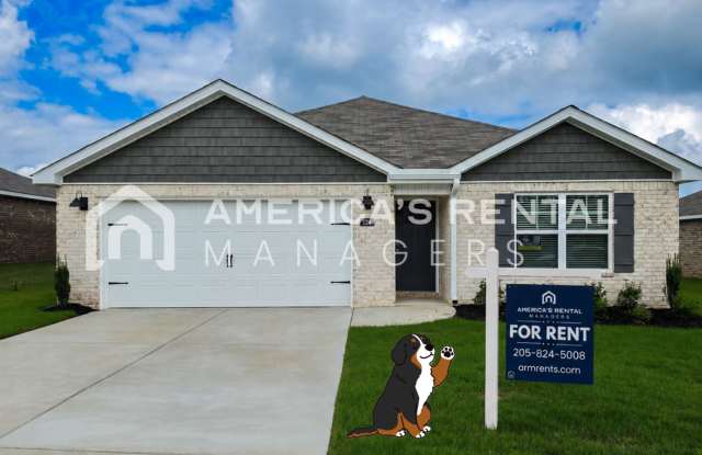 New Construction Home for Rent - Available NOW! Privacy Fence Included! photos photos
