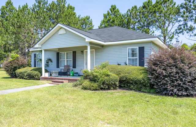 2105 Gabbies Run - 2105 Gabbies Run, Bulloch County, GA 30458