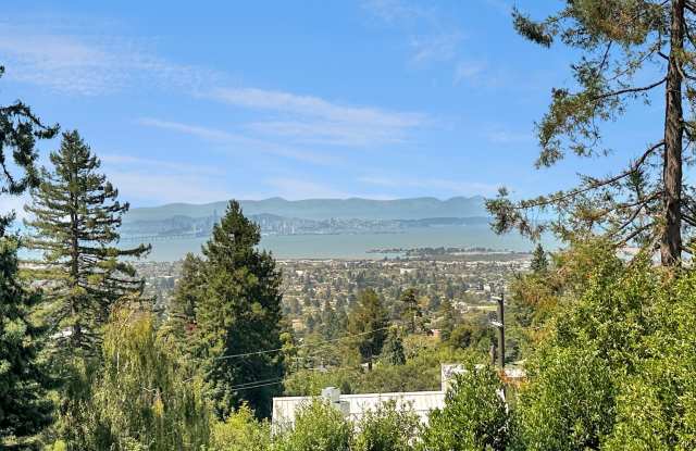Wooded Serenity and Painted Skies in the Berkeley Hills photos photos