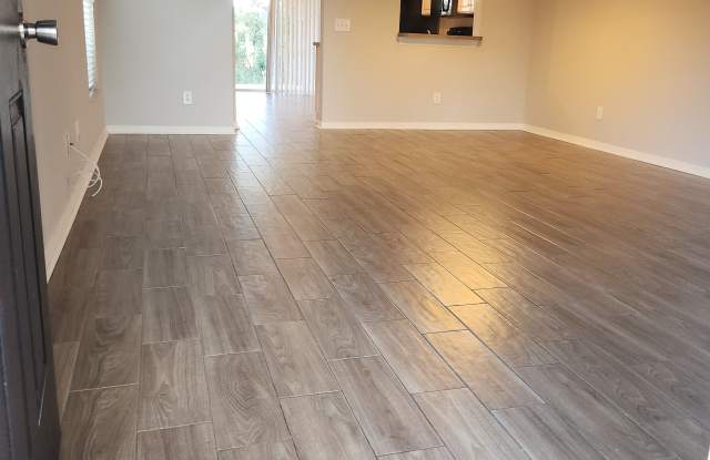 15702 Fishhawk Falls Dr Gallery 4