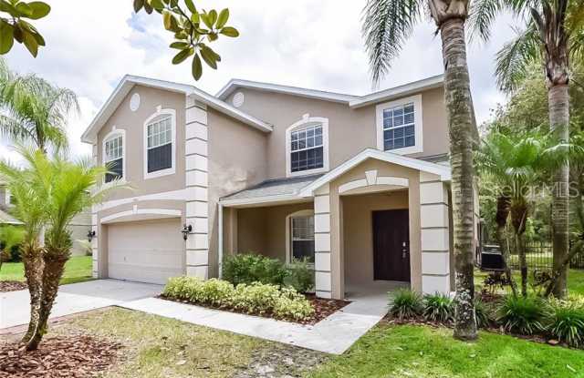 15123 HERONGLEN DRIVE - 15123 Heronglen Drive, Fish Hawk, FL 33547