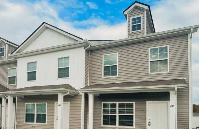 247 Tara Ct - 247 Tara Court, Columbia, TN 38401