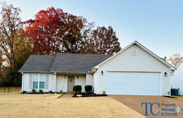 Cozy Living For Cold Days - 125 Turtle Creek Drive, Jackson, TN 38305