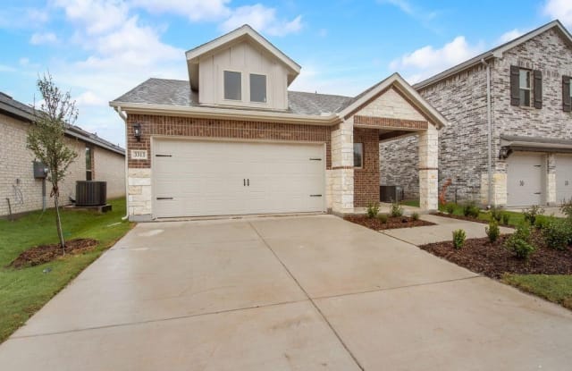 3313 Celestial Lane - 3313 Celestial Lane, Collin County, TX 75454