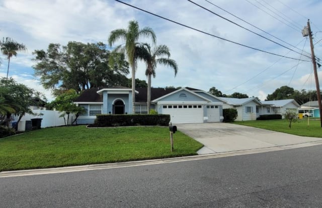 16 Citrus Drive - 16 Citrus Drive, Palm Harbor, FL 34684