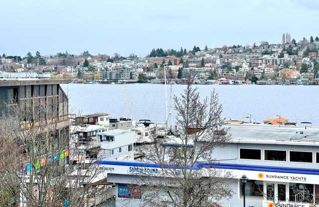 Fully Remodeled 2BD/1BA w/ Lake Views, Patio  Parking! - 2001 Westlake Avenue North, Seattle, WA 98109