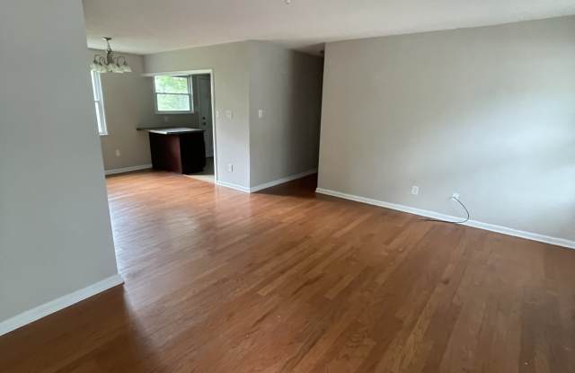 1147 CORNISH ST NE Gallery 2