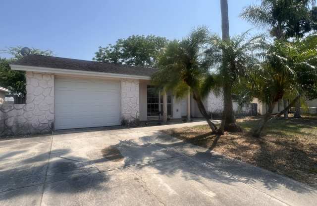 6804 El Camino Paloma St - 6804 El Camino Paloma Street, Jasmine Estates, FL 34668
