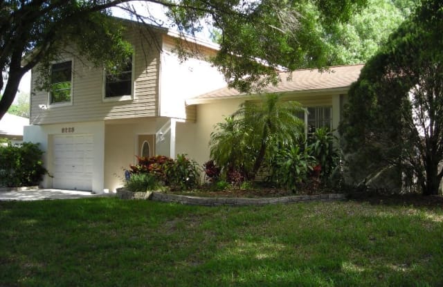 8223 Malvern Circle - 8223 Malvern Circle, Town 'n' Country, FL 33634